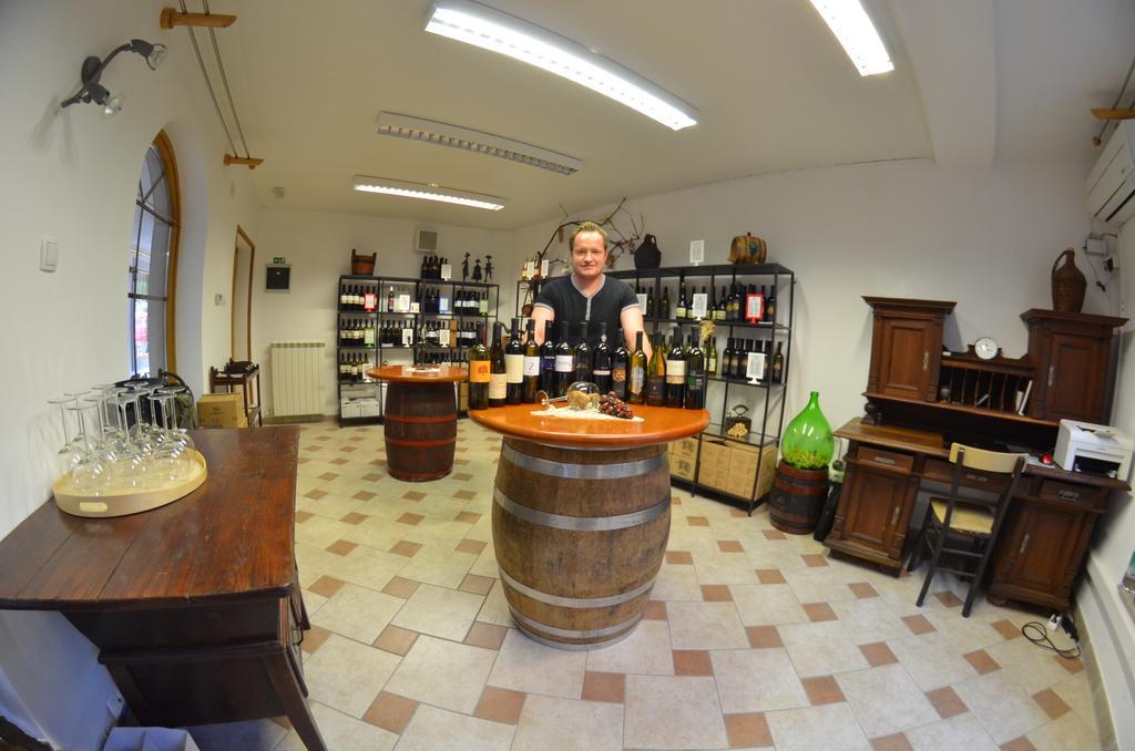Guesthouse Koren At Winery Vipava Buitenkant foto